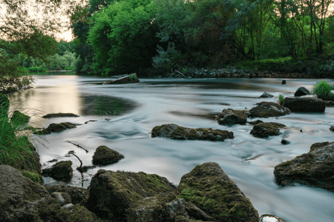 optimized_Evangelio-real-verdadero-Reflexion-Sigueme-Galicia_655x483
